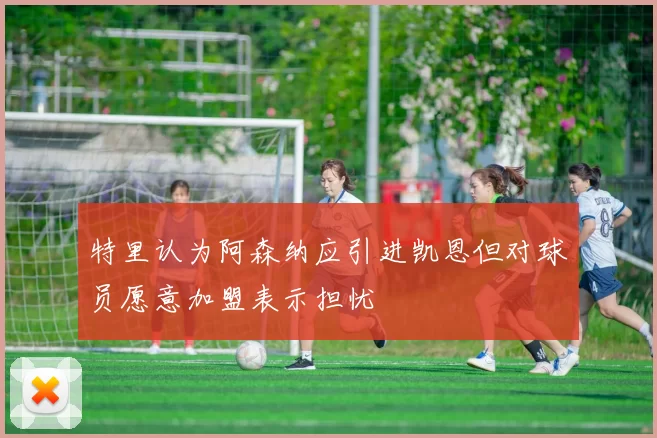 特里认为阿森纳应引进凯恩但对球员愿意加盟表示担忧
